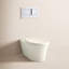 Veil® One-Piece Elongated Dual-Flush Wall-Hung Toilet with Reveal Quiet-Close Seat and 2"X6" In-Wall Tank and Carrier System-13240015