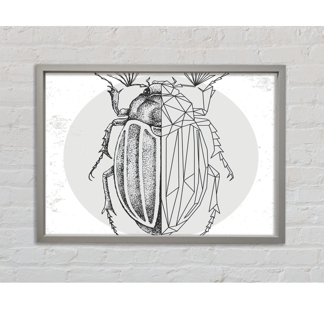 The Beetle Sketch - Single Picture Frame Kunstdrucke auf Leinwand