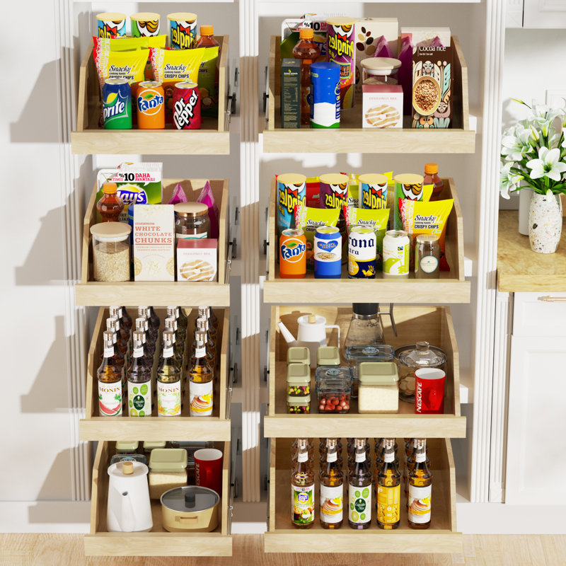 Rashun Pull Out Cabinet Organizer with Extension Rail Slides, Hard Close Pull Out Shelf with U Bracket