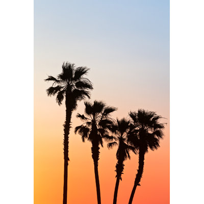 Palm Tree Silhouette - Wrapped Canvas Print