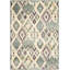 Tapis ikat Braswell Performance-19263292