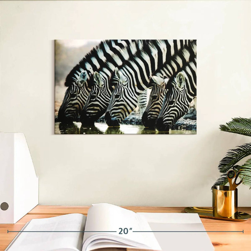Zèbres Brampt Scheveningen, H 8 po x l 12 po
