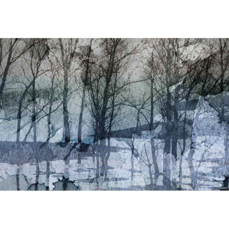 Parvez Taj - Wrapped Canvas Print, 30cm H x 45cm W