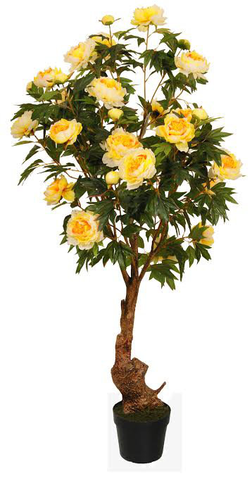 Arbre en pot 63 po