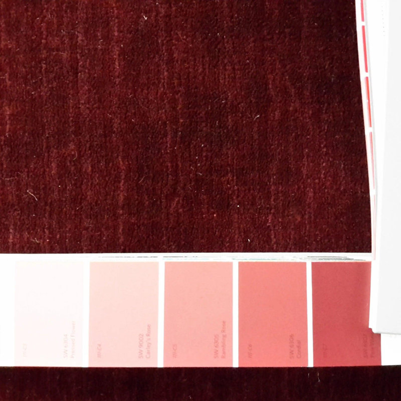 Isabelline Hand Made Red Modern All Over Indo Gabbeh Rug - 4'7'' X 6'7''