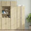 Danielsville Accent Cabinet-1174913849
