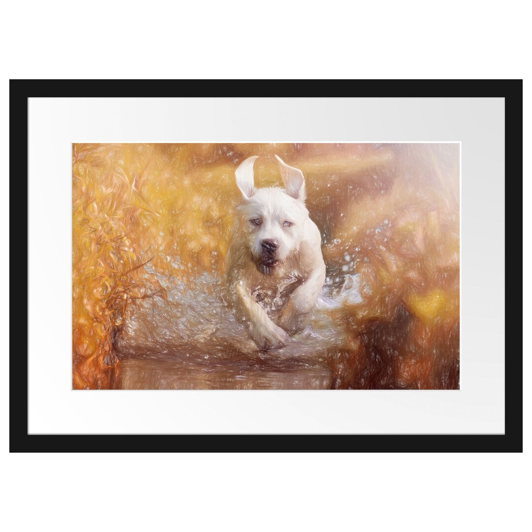 Gerahmtes Poster Labrador-Welpe Wasser