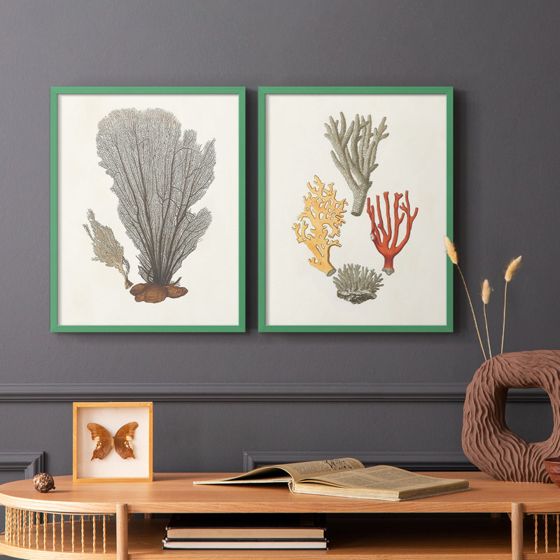 Knorr Shells & Coral III - reproduction encadrée de qualité supérieure - prête à être accrochée - aucun clou requis - aucun clou requis