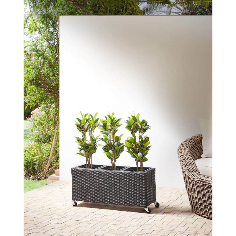 Allana Handmade Pot Planter, Black