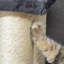 Arbre à chat à 4 niveaux de style escalier avec poteaux à griffer en sisal et plateformes moelleuses pour une activité et un confort félins à l'intérieur.