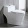 Toilette allongée une pièce 1,28 gpf (siège inclus)