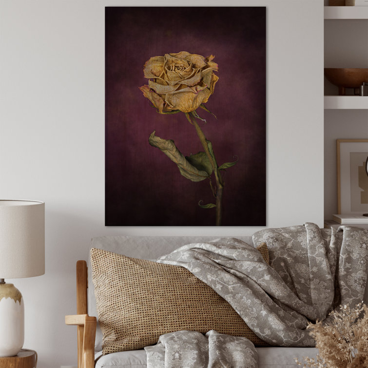 Dried Roses Decor