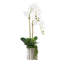 Real Touch Orchid Centerpiece in Pot