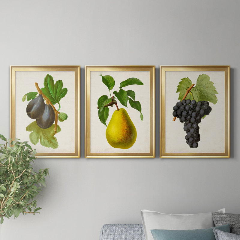 Antique Fruit VI - ensemble de 3 impressions sur toile encadrées, Doré, H 18,5 po x l 73,5 po x P 1,5 po