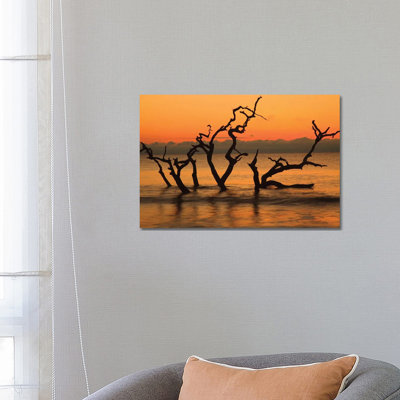 USA, Jekyll Island, Georgia. Driftwood Beach At Sunrise. by Joanne Wells - Wrapped Canvas Print