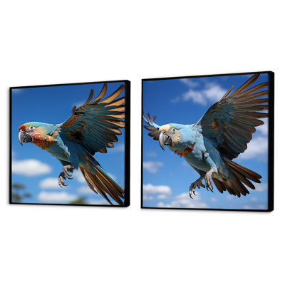 Parrots Wings Of Beauty - Animals Parrot Square Collage Set Of 2