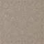 Pure Sunflower Wallpaper-50889450