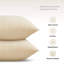 Bourrure de coussin de forme carré-1259220362
