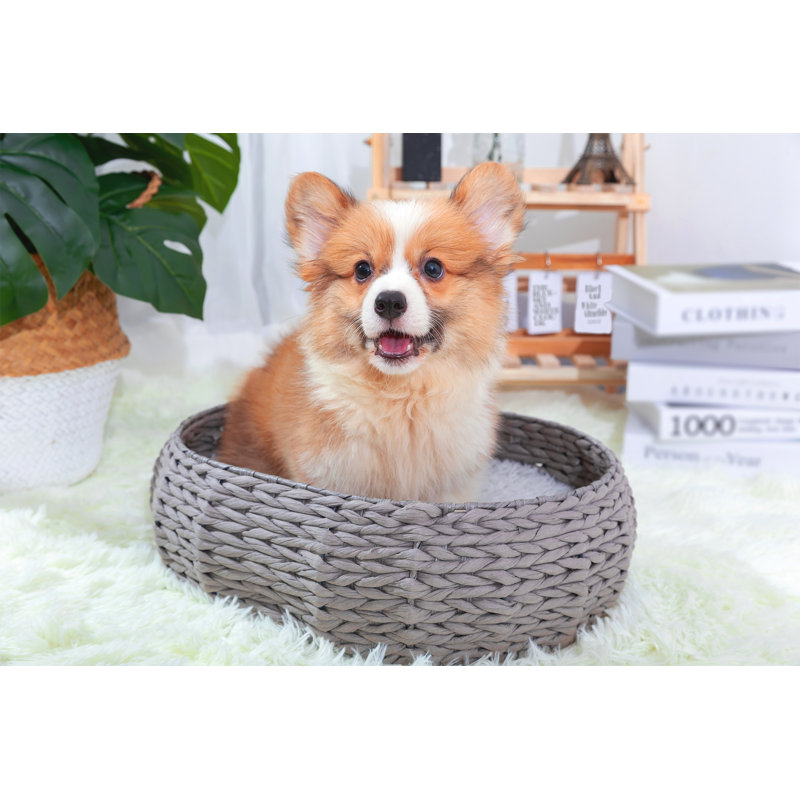 Lit pour animal de compagnie tissé à la main PetPals