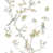 White/Neutral