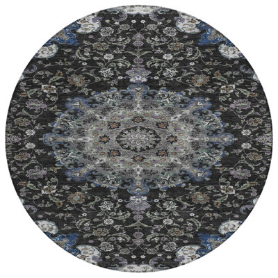 Machine Washable Indoor/Outdoor Chantille ACN2489 Global Rug