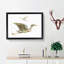 Crane & Bittern by Johan Teyler - Picture Frame Painting Print-55510592-55510596