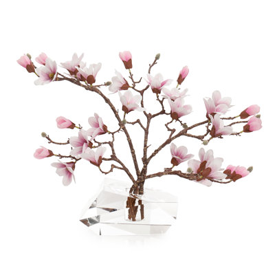 Cristal de glace Magnolias