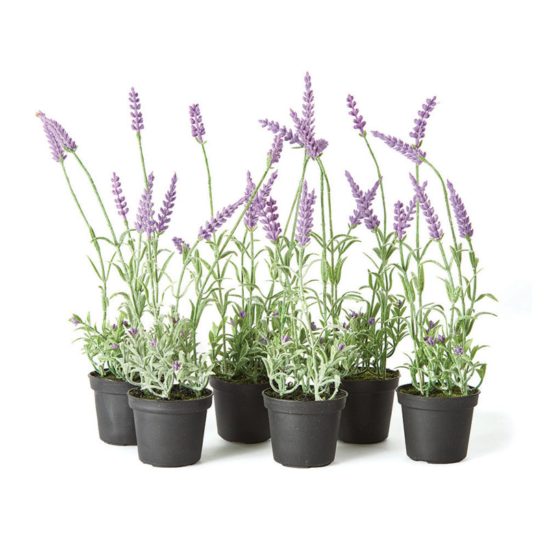 French Lavender Floral Arrangements in Pot
