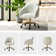 Adan Modern Velvet Task Chair with  Wood Frame and Back