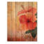 Coucher de soleil sur un hibiscus à Madagascar - Reproduction traditionnelle en bois orange sur bois de pin naturel-1154229091