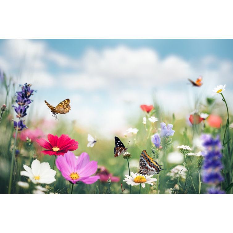 Summer Meadow With Butterflies by Borchee - Print