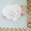 Waterproof Cotton Crib Sheet-1953367822