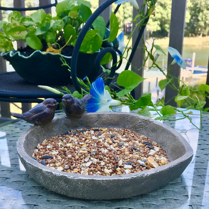 Aldwych Resin Birdbath