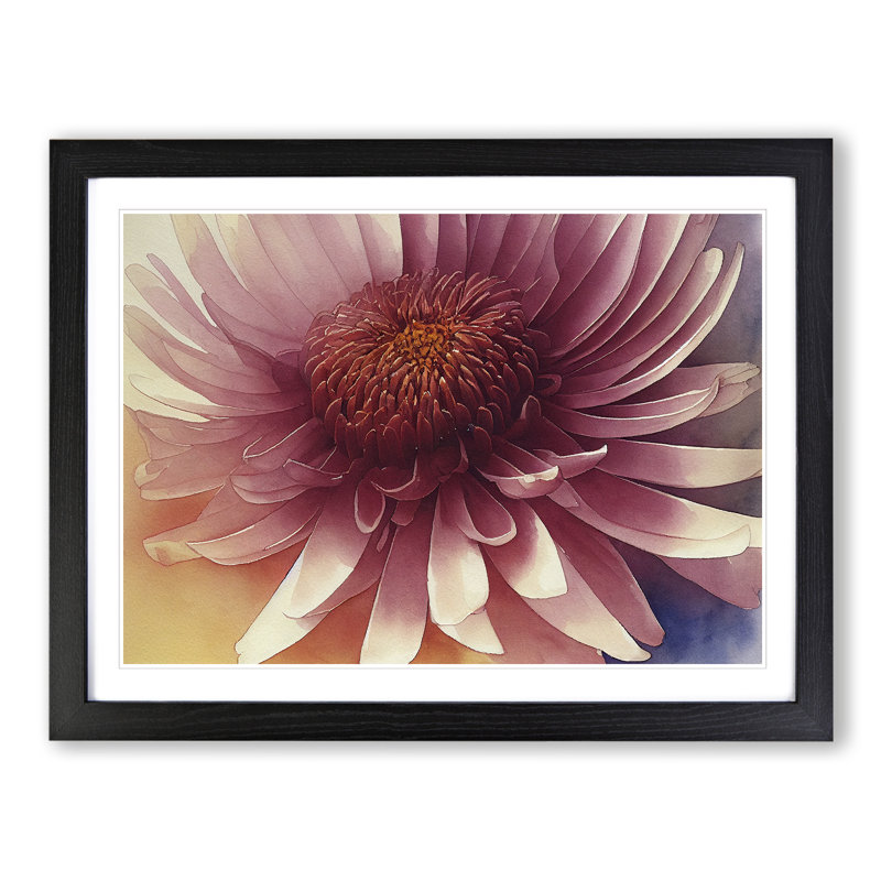Chrysanthemum Watercolour Flower Vol.4 - Framed Print, Black, 46cm H x 64cm W x 2cm D
