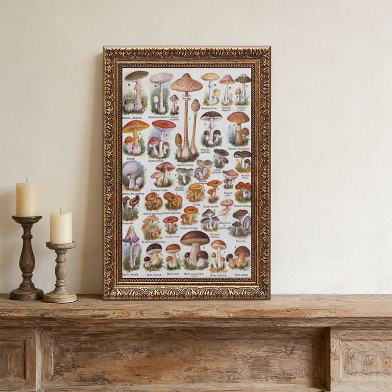 Champignon botanique rétro - cadre décoratif doré pour art., L 24 po x l 36 po