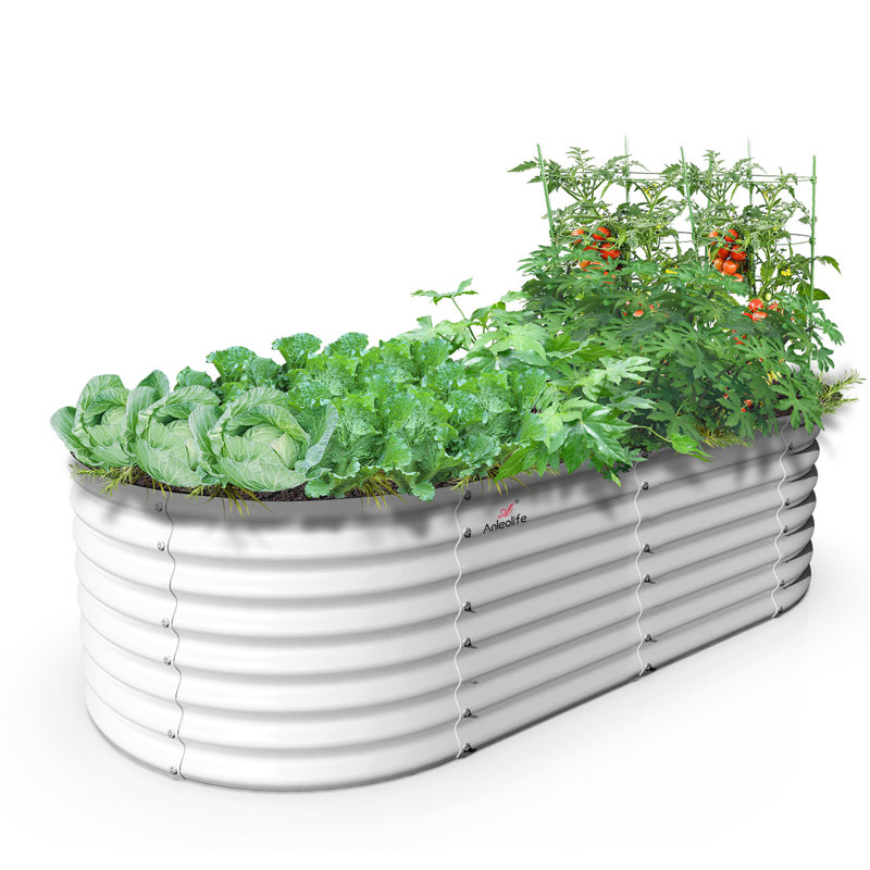 White Metal Oval Raised Garden Bed Planter Box For Planting Vegetables Flowers Herb (72 In. L X 36 In. W X 24 In. H), White