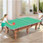 Plateau de table de tennis de table pliable et portable de 8,5 pi de taille moyenne pour jeux d'intérieur-128611220-128611224