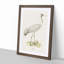 Common Crane by Von Wright - Picture Frame Painting Print-55686130-55686131