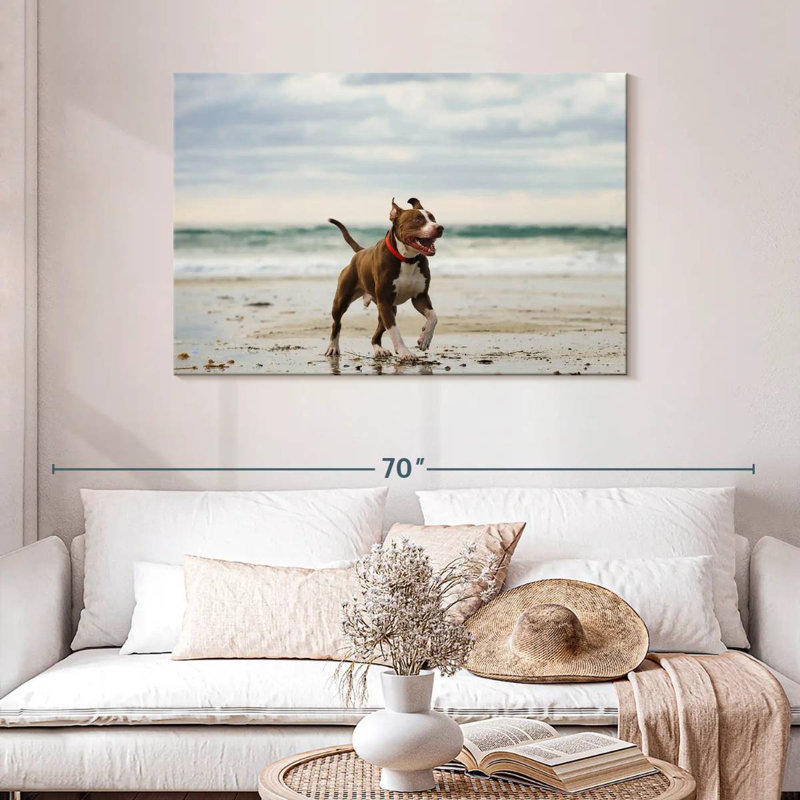 Brampt Pit Bull sur la plage, H 30 po x l 45 po