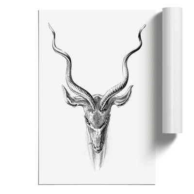 Vintage Antelope by Ernst Haeckel - Frameless Print