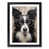 Black Framed selected