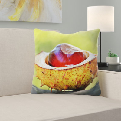 Coussin châtaignier