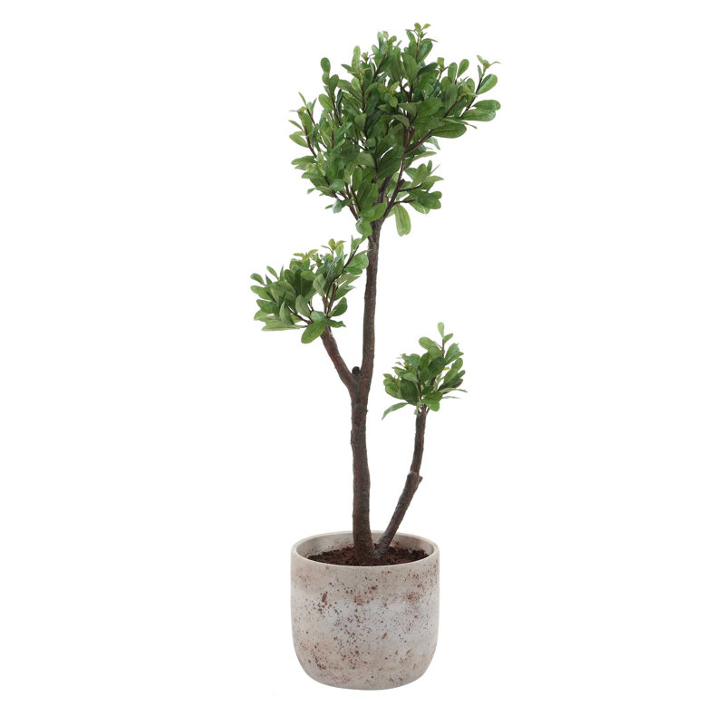 Uttermost Arbor Strawberry Tree
