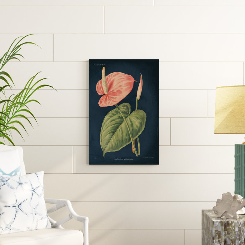 Anthurium ferrierense bleu foncé, H 30 po x l 20 po x P 1,25 po