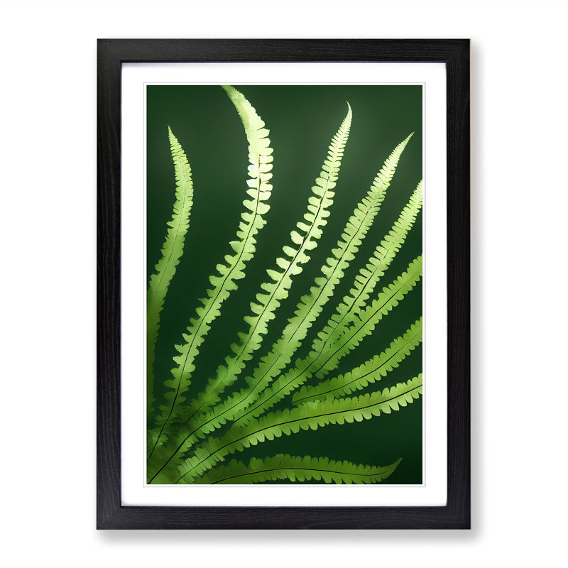 Aayam Fern Leaf Beauty - Picture Frame Print, Black, 64cm H x 46cm W x 2cm D