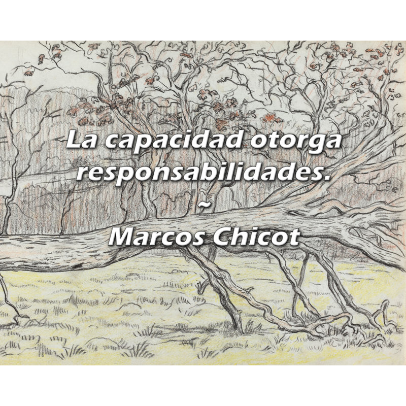 Marcos Chicot Citation: La capacité d'otorga redevilidades.