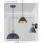 Barbary 1 - Light Dome Pendant-1792210941