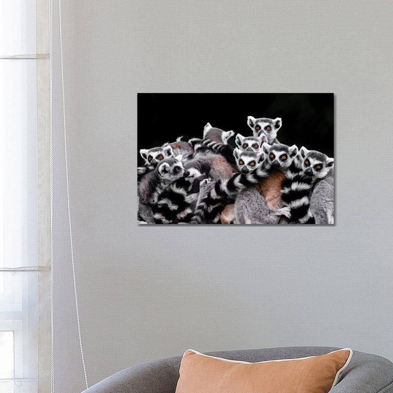 Lemurs by Goran Anastasovski - Wrapped Canvas Print, 66.04 cm H x 45.72 cm W x 3.175 cm D