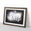 Birds In The Trees - Single Picture Frame Print on MDF-56890915-56890918