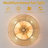 Terminous 20" Ceiling Fan with Light Kit